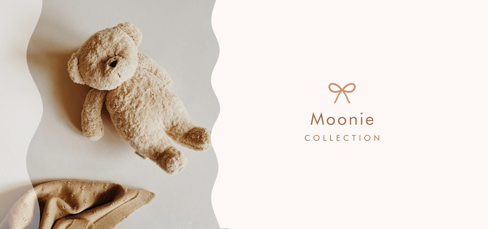 Moonie Bear Collection