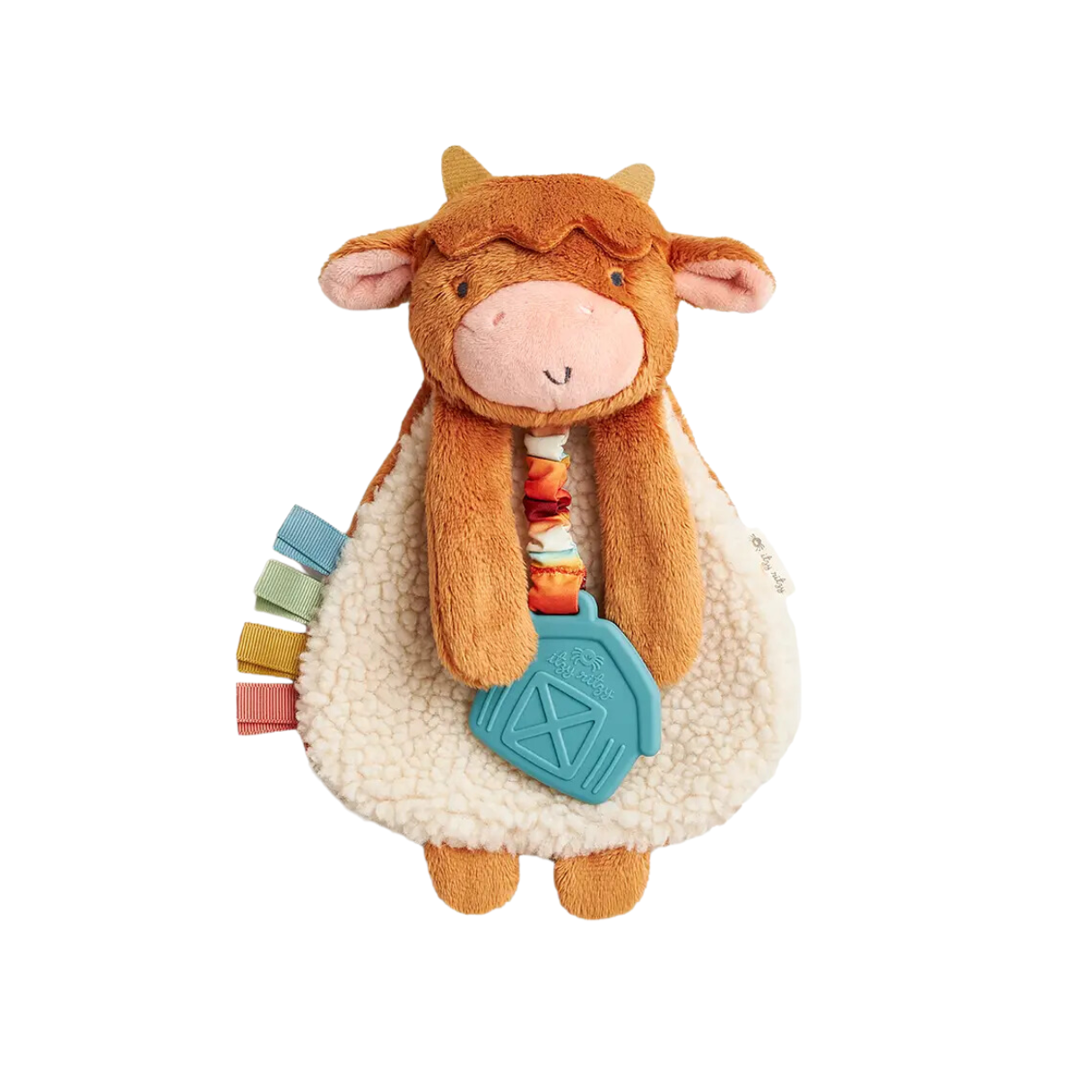 Lovey  Highland  - Cow