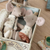 Maileg - Mice Royal Twins in Box